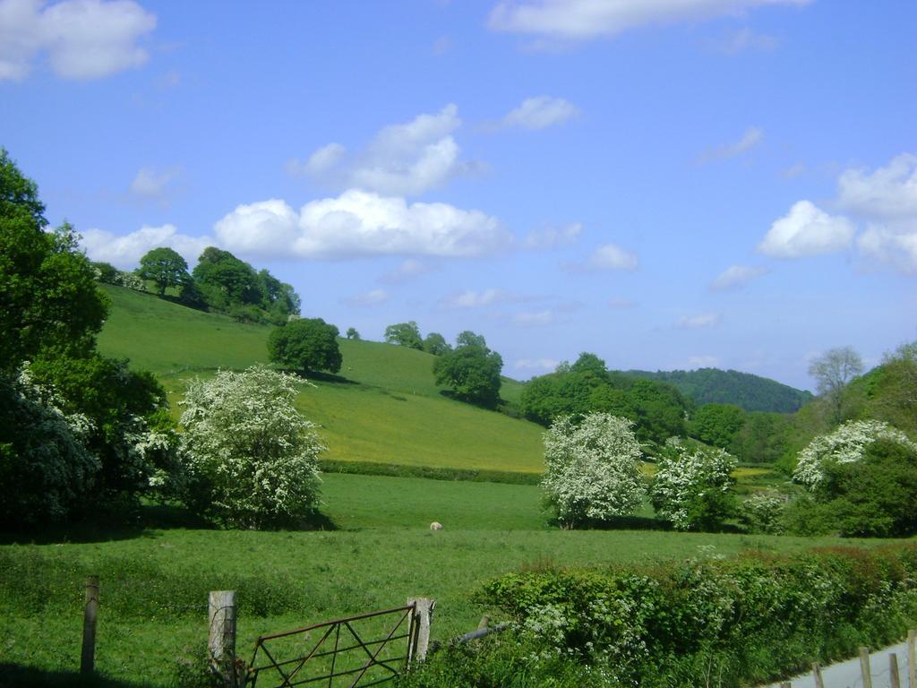The Forest Country House B&B Newtown  Luaran gambar