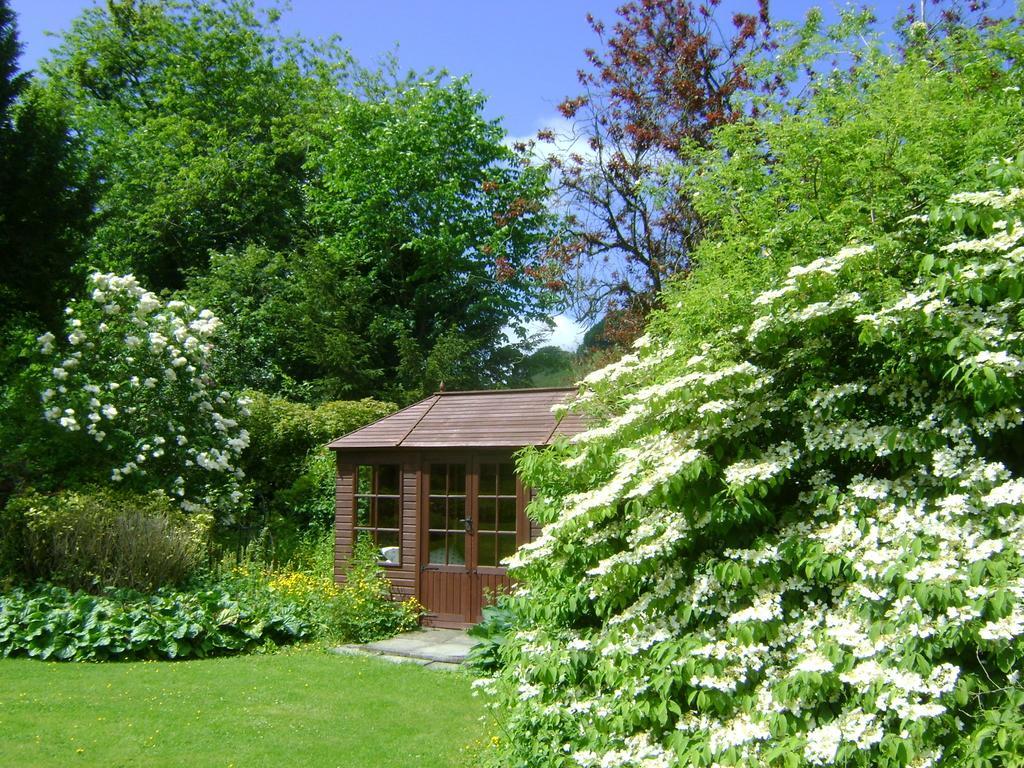 The Forest Country House B&B Newtown  Luaran gambar